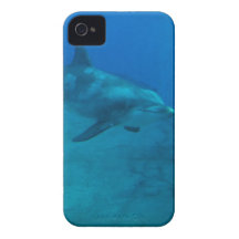 Dolphin Smiles iPhone 4 Cases