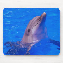 Dolphin Smiles Mousepad