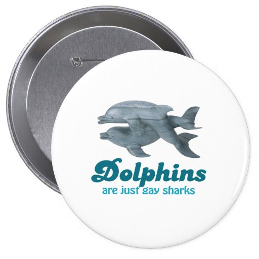 Dolphins are just gay sharks pinback buttons