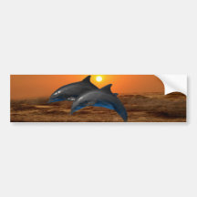 Dolphins at sunset bumper stickers