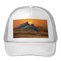 Dolphins at sunset hats