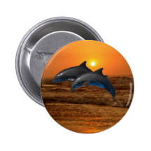 Dolphins at sunset pinback button