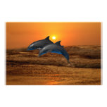 Dolphins at sunset stationery