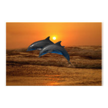 Dolphins at sunset stationery