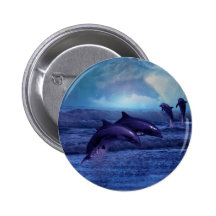 Dolphins fun and play button