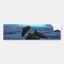 Dolphins playing at moonlight bumper stickers
