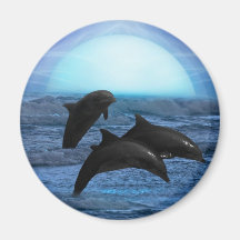 Dolphins playing at moonlight magnets