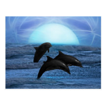 Dolphins playing at moonlight postcards