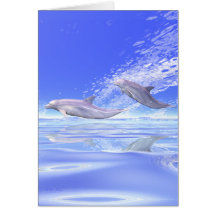 Dolphins Racing Card