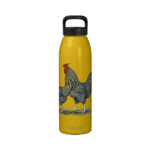 Dominique Chickens Reusable Water Bottle