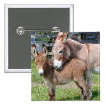 Donkey and Baby Pinback Buttons
