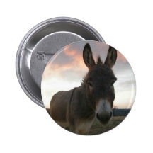 Donkey Art Pins
