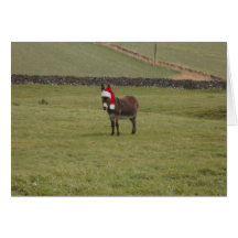 Donkey Christmas Card