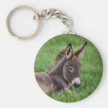 Donkey In The Grass Key Chains