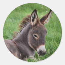Donkey In The Grass Stickers