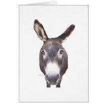 Donkey In Your Face Cards