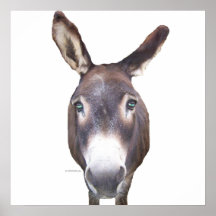 Donkey In Your Face poster print