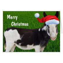 Donkey Merry Christmas Greeting Cards