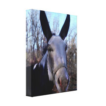 Donkey Painting Stretched Canvas Print