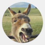 Donkey Round Stickers