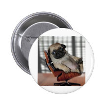 Don't be Pugnacious! Pin