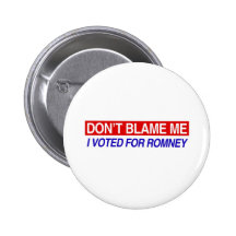 Don't Blame Me I Voted For Romney Pin