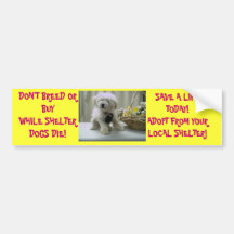 DON'T BREED OR BUY! ADOPT BUMPER STICKERS