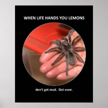 dont-get-mad-get-even print