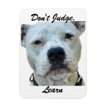 Don't Judge, Learn Magnet