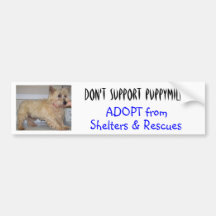 Don't Support Puppymills -- Straggles Bumper Sticker