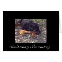 Don't Worry I'm Waiting. Greeting Card