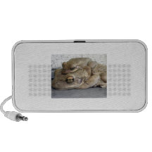 Doodle Frogs iPod Speakers