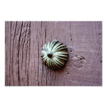 Door Fixture Print Photographic Print