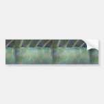 Dorsal fin and scales of a Carribean parrotfish Bumper Stickers