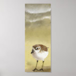 Dotteral Posters
