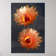 DOUBLE BARREL CACTUS ON GRAY PRINT