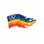 Double Female Pride Flag Tee Shirt