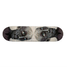 Double Vision Skate Board