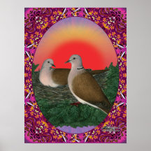 Doves Framed Print