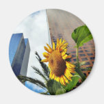 Downtown Los Angeles Skyscrapers Refrigerator Magnets