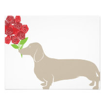 Doxie Delivers 12 Red Roses - Valentines Day!!!! Custom Announcement