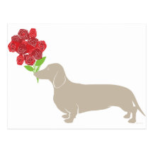Doxie Delivers 12 Red Roses - Valentines Day!!!! Post Card