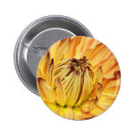 DPuget Sound Dahlia Association Show 2009 Pinback Buttons