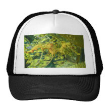 Dragon Seahorse Mesh Hat