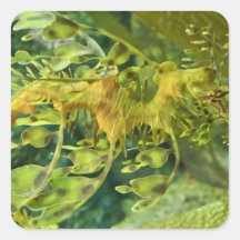 Dragon Seahorse Sticker