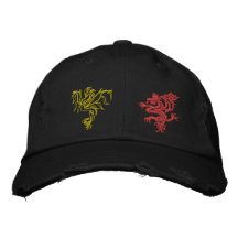 Dragon wars embroidered baseball caps