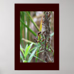 Dragonfly+artwork+canvas+prints