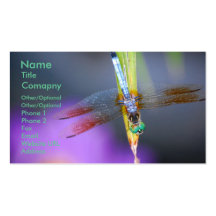Dragonfly 1 - business card template