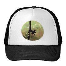 Dragonfly at Rest Hats