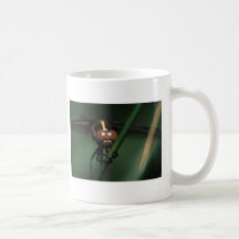 dragonfly mugs